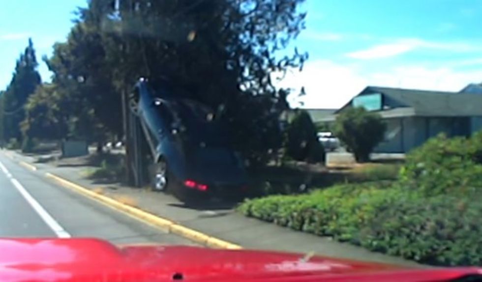 Parkiral na drevo ali instant karma