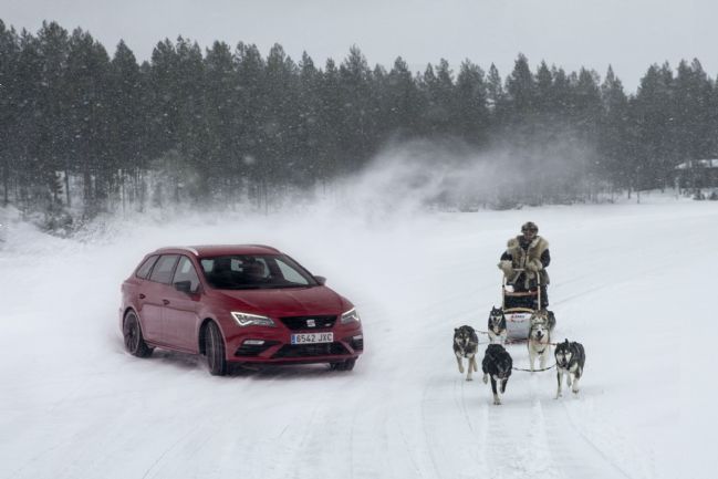 Huskyji proti 300-konjskemu Seat Leonu