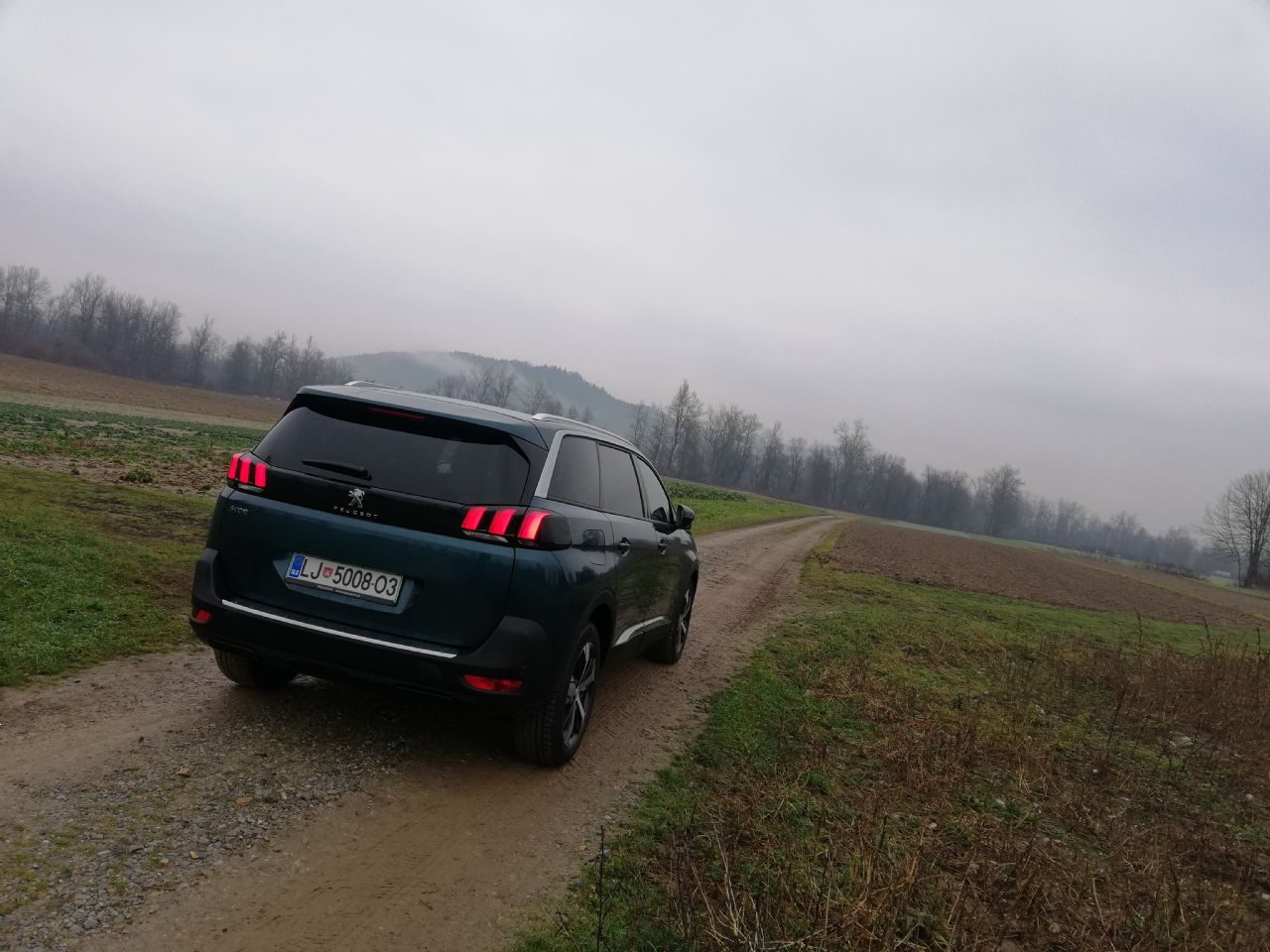 Podaljšani brat