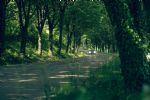 Kako se z Mazdo MX-5 ujame nežna fotografska roka - fotografija 30