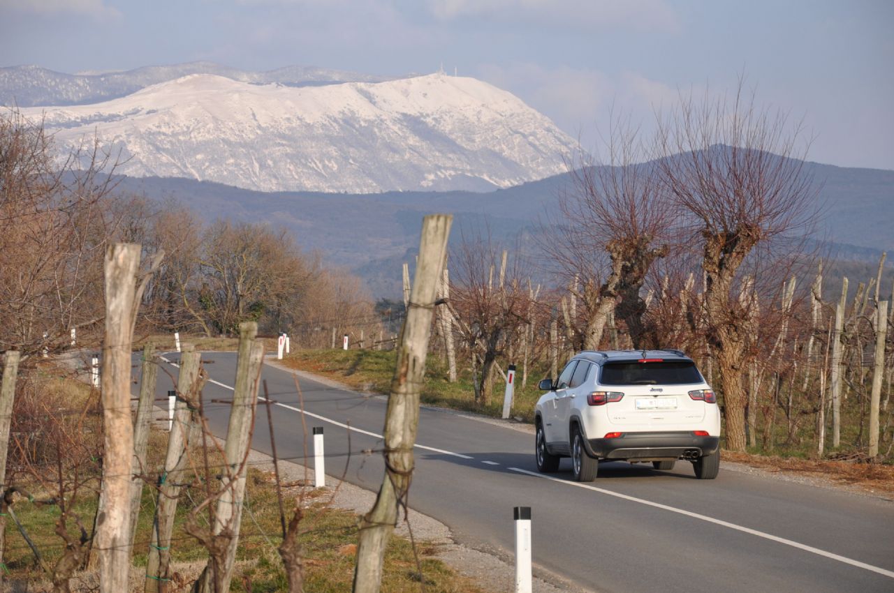 Gazenje po stranpoteh mu je zapisano v DNK Gazenje po stranpoteh mu je zapisano v DNK