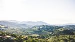 Z drznim Bavarcem v slovensko Toskano - fotografija 21
