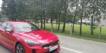 Nenavadna in netipična korejska zver - fotografija 15