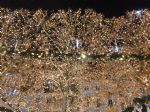 Najlepši božični sejem na Koroškem - fotografija 24