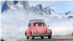 Hrošč si je izposojal pri Čehih - fotografija 1