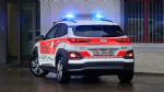 Elektrificirani švicarski policisti - fotografija 1