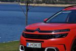 Isti geni, pa čisto drugačna duša - fotografija 24