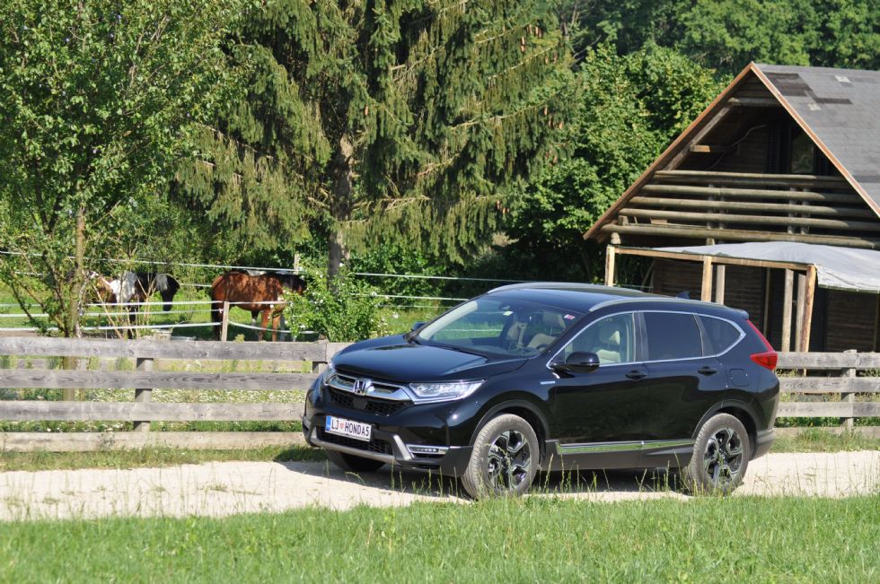 Električna podpora mestni in terenski vožnji Električna podpora mestni in terenski vožnji
