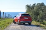 Najmanjši terenski predstavnik ni tako majhen - fotografija 15