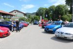 7. mednarodno srečanje Alfafest - fotografija 6