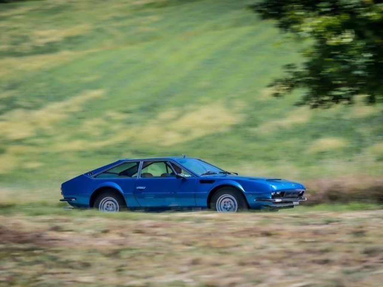 Pol stoletja Lamborghinijeve Jarame Pol stoletja Lamborghinijeve Jarame