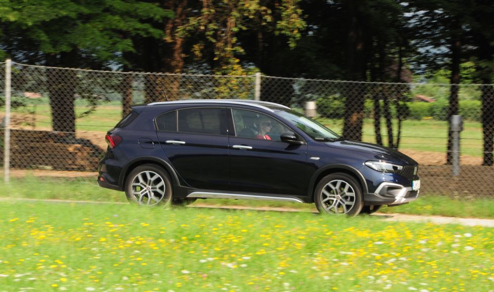 Utilitarna eleganca italijanskega križanca