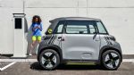 Mali mestni električar - fotografija 6
