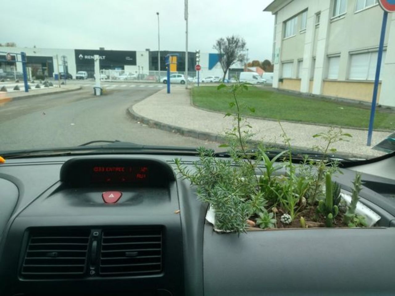 Košček narave na štirih kolesih