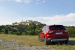 Velika pol električna mačka - fotografija 17