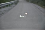 Paradni konj - fotografija 22