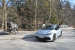 Španski električni temperament - fotografija 20
