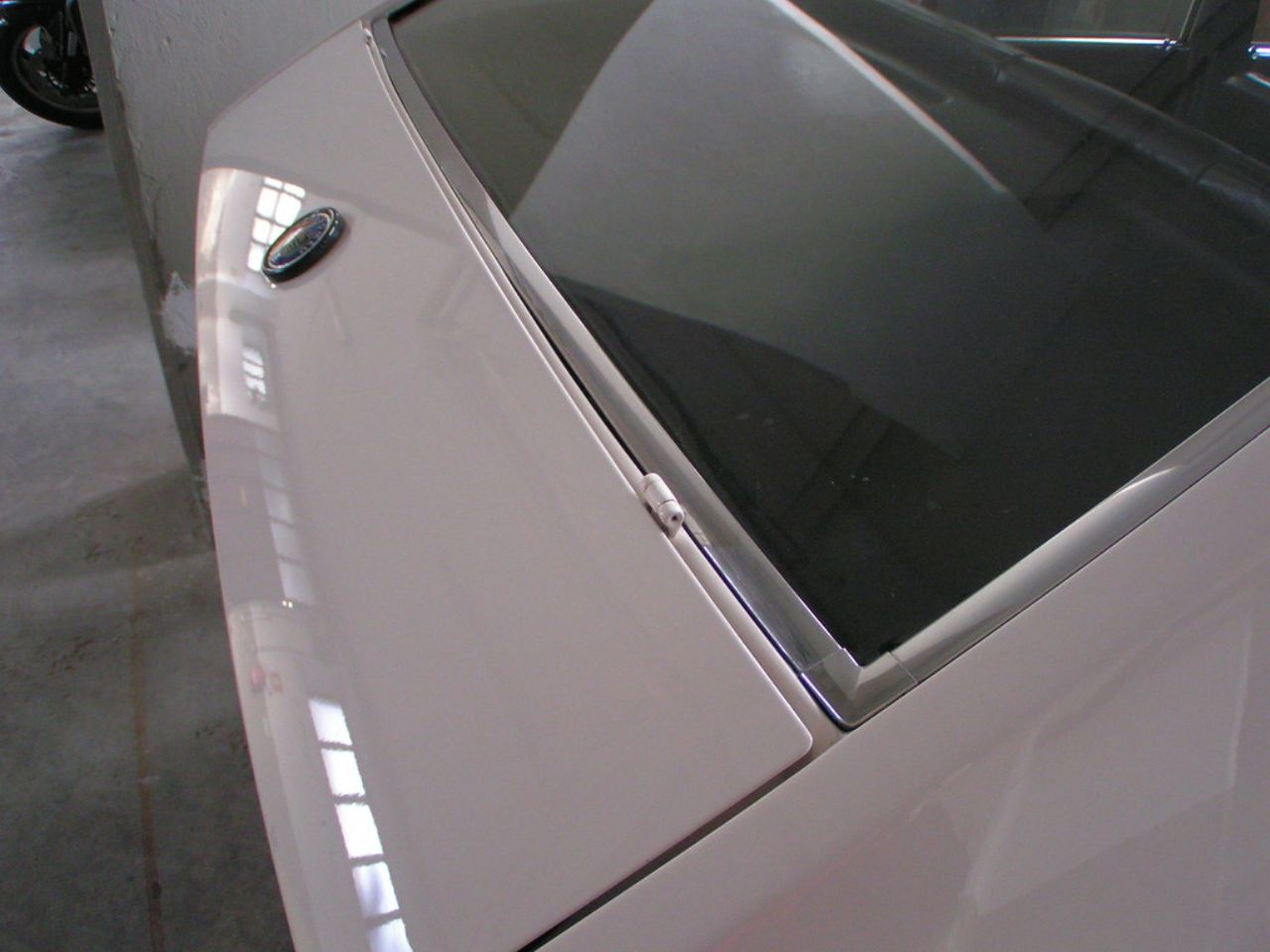 Alfa s panti