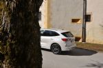 Klasični hibrid za umirjene - fotografija 5