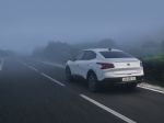 Privlačna alternativa limuzinam in terencem - fotografija 4