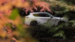 Novi Mazdin SUV za evropski trg - fotografija 13