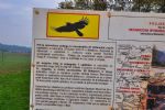 Skriti kotički Bele krajine - fotografija 34