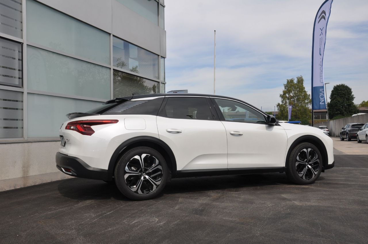 Letos s Kitajske prihaja 60 primerkov