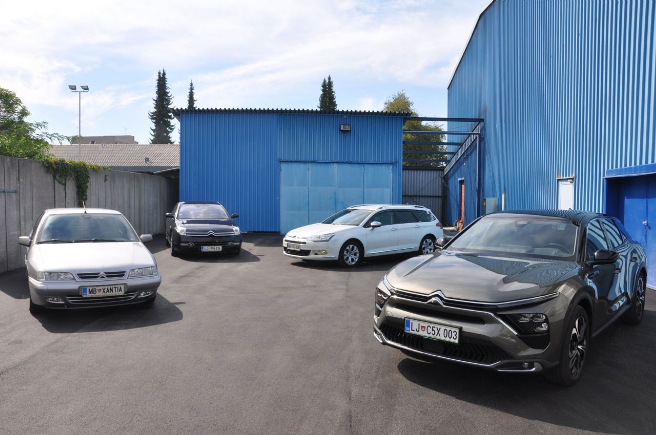 Letos s Kitajske prihaja 60 primerkov
