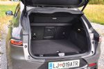 Lepota ni dovolj - fotografija 12
