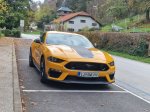 Brezmejni občutek svobode z Mustangom - fotografija 22
