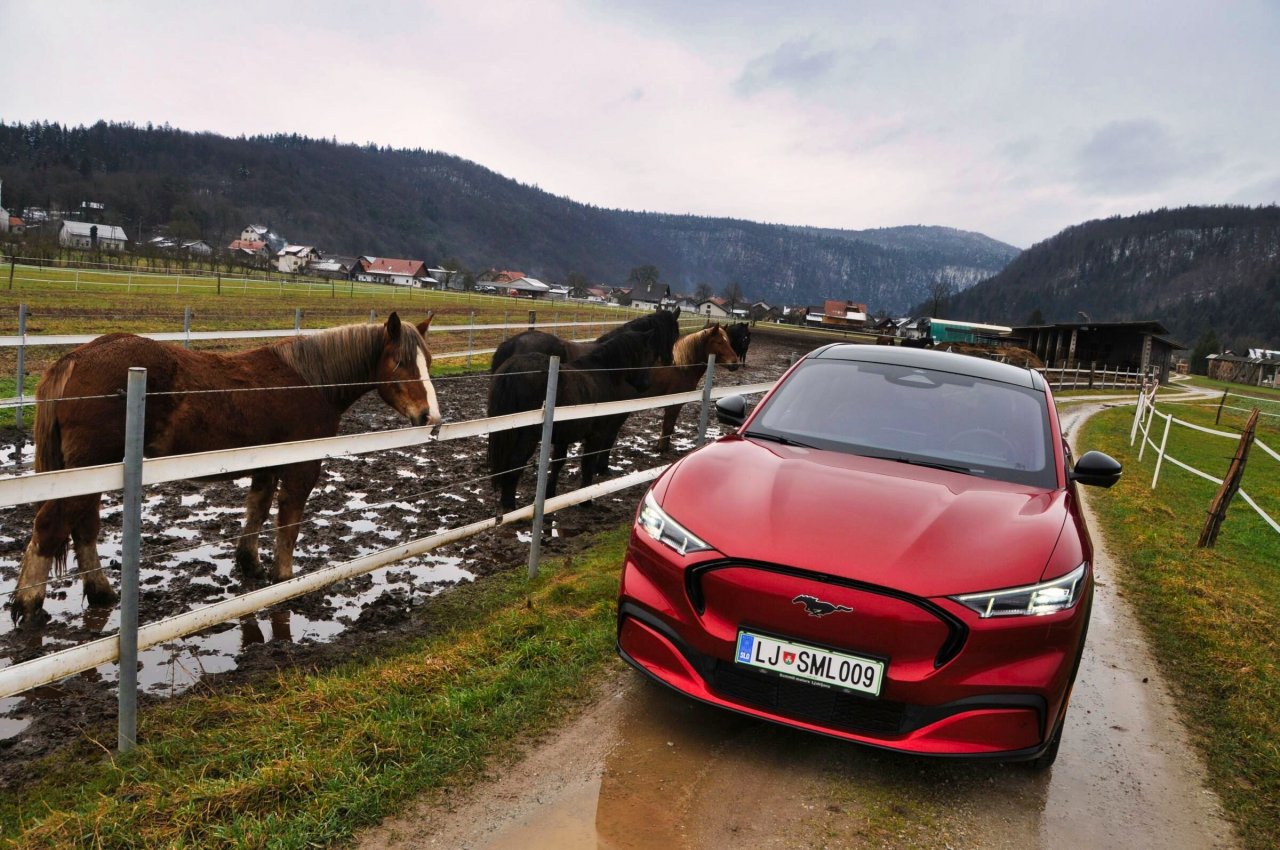Jahanje električnega ponija Jahanje električnega ponija