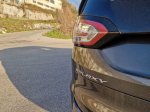 Hibridizacija velikega Forda - fotografija 6