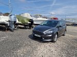 Hibridizacija velikega Forda - fotografija 8