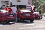 Jubilejni 10. Alfafest Brkini - fotografija 24