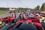 Jubilejni 10. Alfafest Brkini - fotografija 4