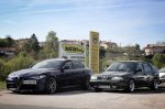 Jubilejni 10. Alfafest Brkini - fotografija 53