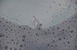 Peti in električni član družine - fotografija 7