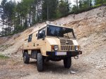 Avstrijska krava - fotografija 2