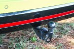 Strupena češka električna puščica - fotografija 30