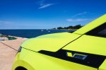Strupena češka električna puščica - fotografija 3