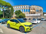 Strupena češka električna puščica - fotografija 6