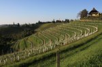 Prlekija je slovenska Toskana - fotografija 6