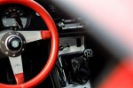 Butična svojeglava Alfa, ki posoja ime - fotografija 24