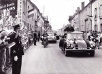 Žaba praznuje sedemdeseti rojstni dan - fotografija 28