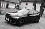 Črno črni absolutni Šved - fotografija 25