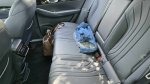 Kitajski električni SUV za evropski okus - fotografija 13