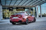 Elegantni upornik - fotografija 10