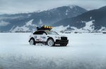 Terenska zverina z leda v Zell am Seeju - fotografija 11