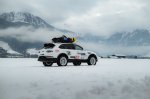 Terenska zverina z leda v Zell am Seeju - fotografija 14
