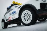 Terenska zverina z leda v Zell am Seeju - fotografija 16